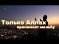 Только Аллах принимает мольбу