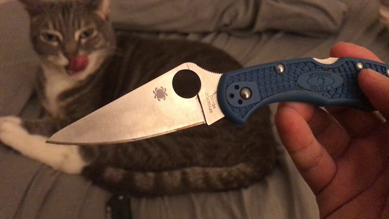 My Ca Legal EDC Knife Collection YouTube