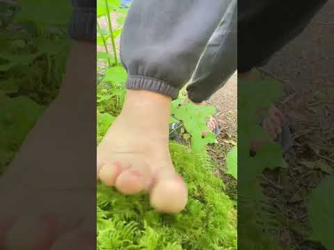 thick moss foot asmr. Camping in the rain forest. #feetcommunity #feets #feet #toe #barefoot