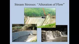 Week 7 - Intro to Stream Ecology pt1