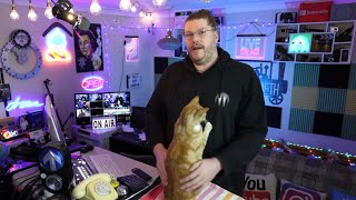 My Laziest Live Show Ever? Its My Cats Fault…