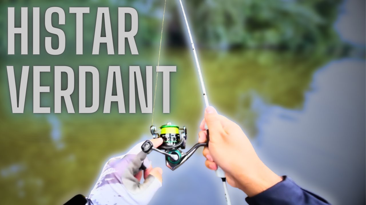 Fishing this awesome 25$ UL Spinning Reel!