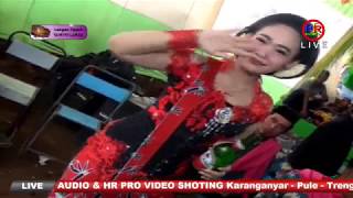 TAYUB TERBARU//PODANG KUNING//SURYO LARAS