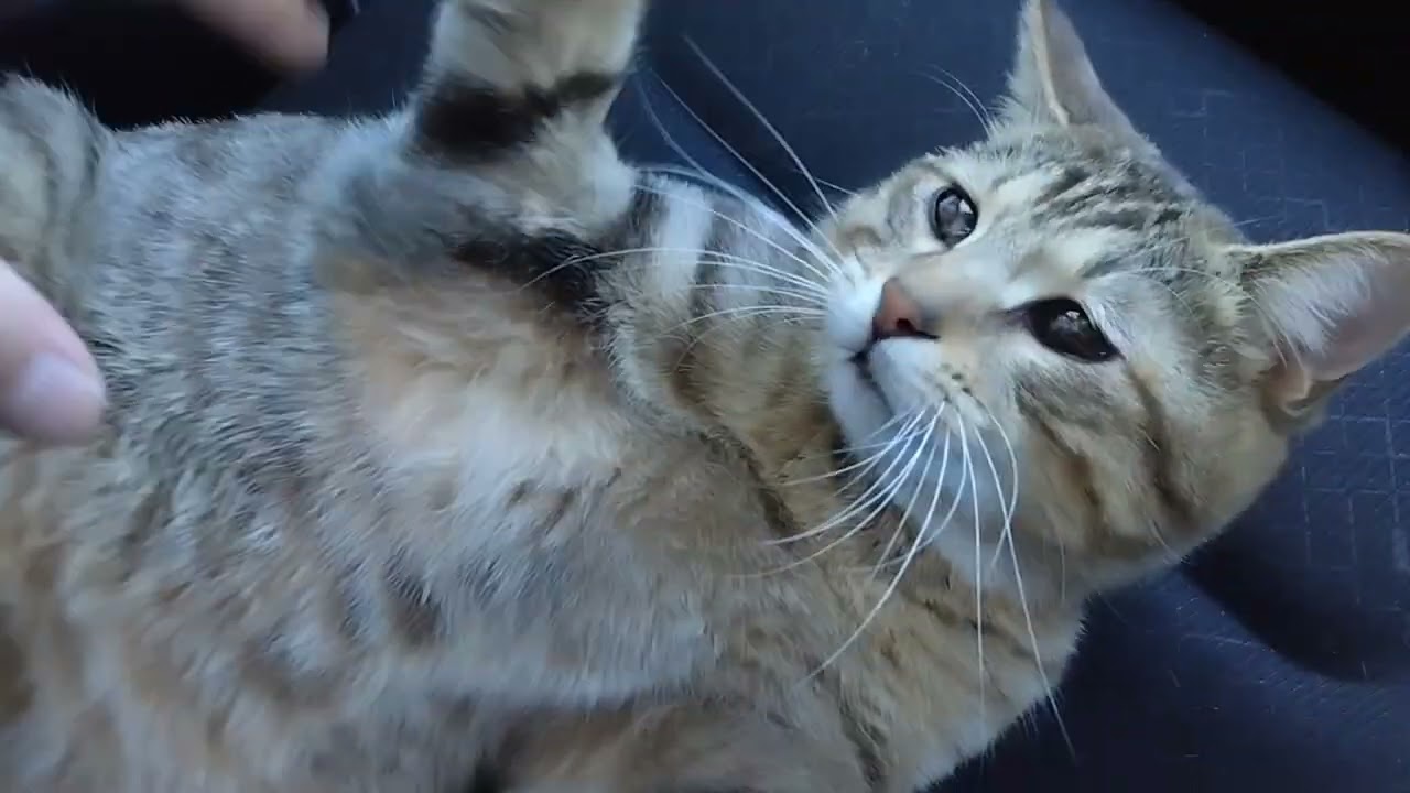 Jean-Michel Jarre - Equinoxe, Pt. 4