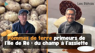 Pommes de terre primeurs de l&#39;île de Ré : du champ à l&#39;assiette