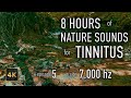 8 Hours Nature Sounds for Tinnitus — EP 5 | [7,000 Hz] | 4K HDR10 - E05-7000
