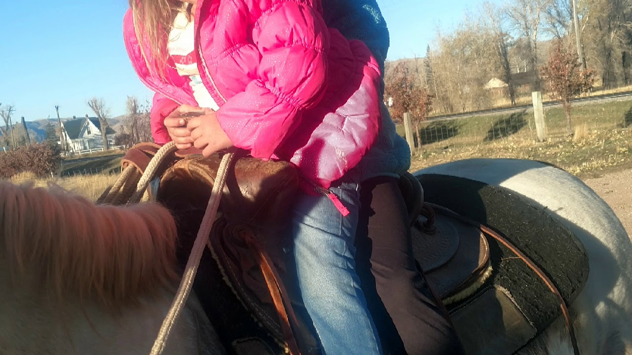 Horses and Hot rods. YouTube