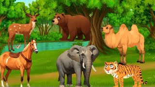 Animal Stamped Crossover Animal Race Animals Cartoon 3D Animation