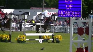 Whisper S Lap of Honour Ardingly