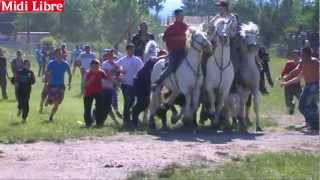 Le Club Taurin De St Hilaire De Brethmas Les Abrivados Au Cœur Du Village