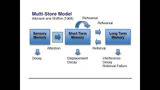 A Level AQA Psychology Memory in 10 mins!