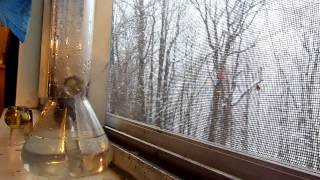 Snow Smoke Session
