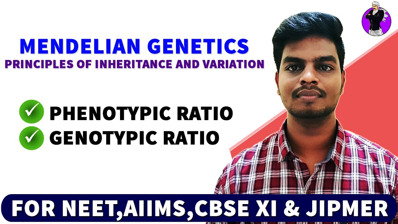 Phenotypic & Genotypic Ratio in Tamil | Rajus Biology