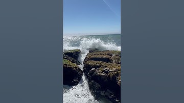 Thumbnail of Walking on the beach in Cayucos CA.. #balance #nature #cayucos #beach #positivevibes  @mitchrha5013