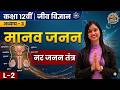 नर जनन तंत्र | मानव जनन | Class 12 Biology | Ch 3 L-2 | Shalini Ma'am