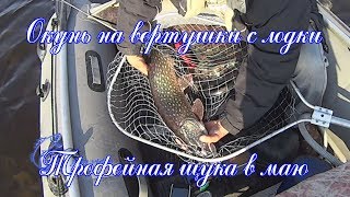 Окунь , щука на реке Днепр в маю, вертушка, силикон! Окунь , щука на реке Днепр в маю, вертушка, силикон!