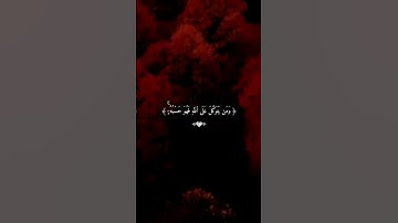 لا تقاطع القرآن 🔉 🎧 🤍 #قران #فارس_عباد #تلاوة_خاشعة