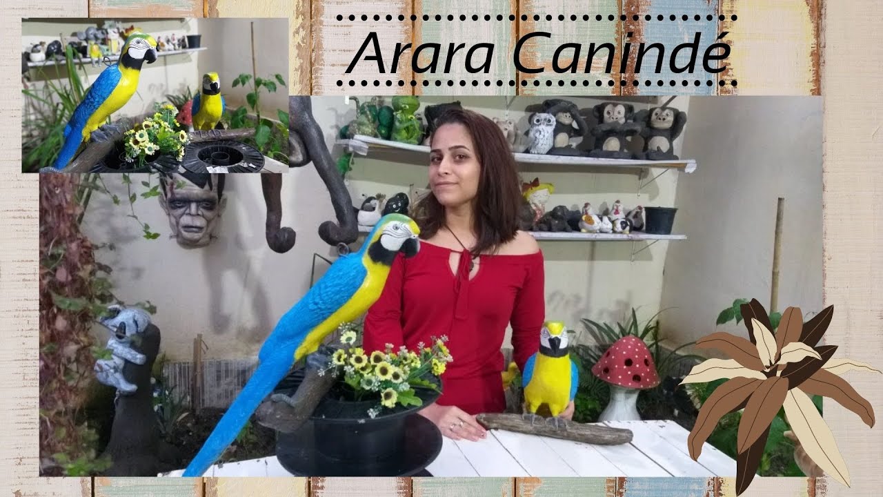 DIY-COMO PINTAR ARARA CANINDÉ (BARRIGA AMARELA)