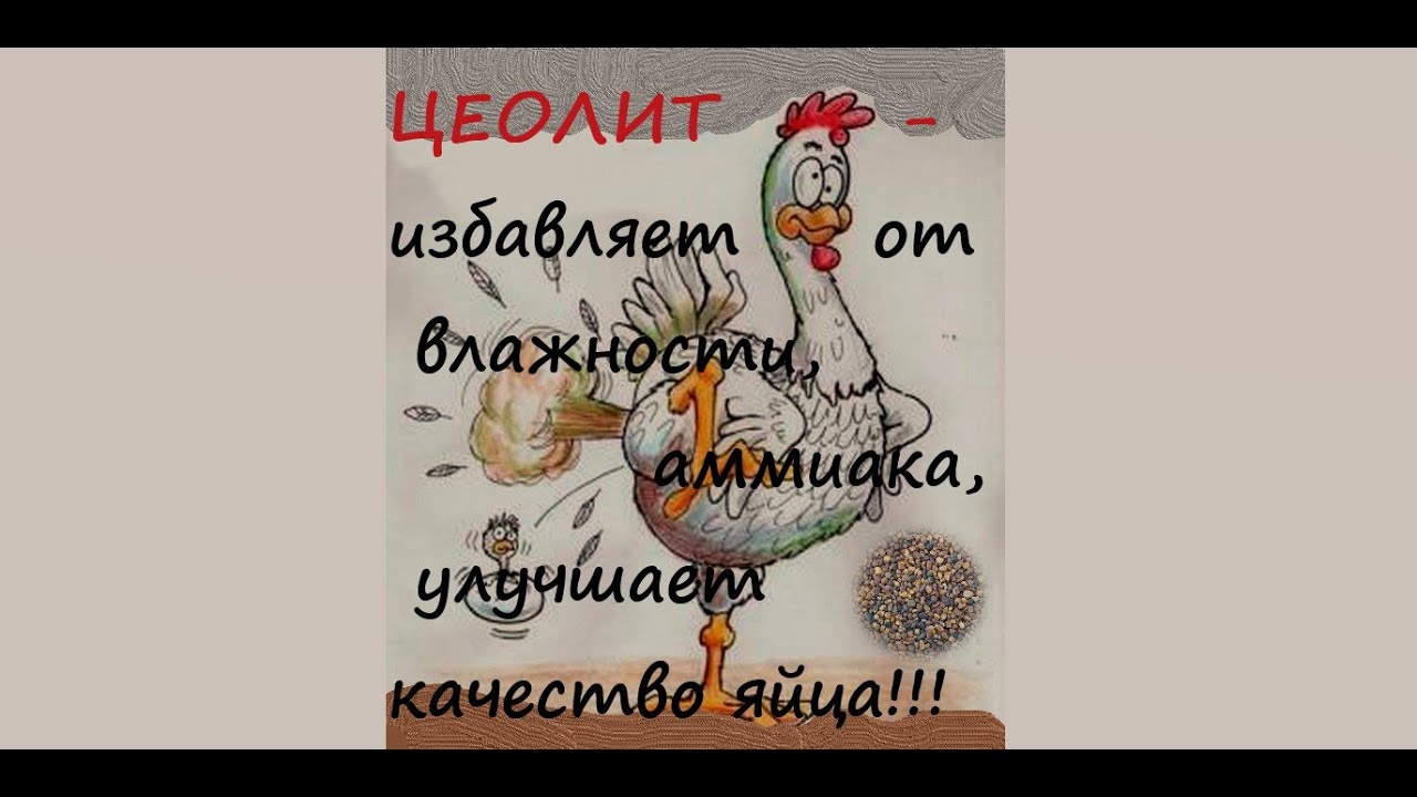 КАК ИЗБАВИТЬСЯ ОТ АММИАКА, ВЛАЖНОСТИ, ЦЕОЛИТ-ПРИРОДНЫЙ КАМЕНЬ, ОТЗЫВ ...