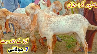 Aj k fresh rate/7 July 2026/Hasilpur bakra mandi update