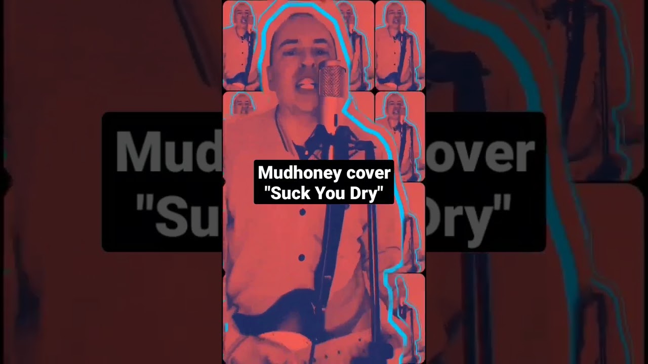 Mudhoney cover by Obi Denim 