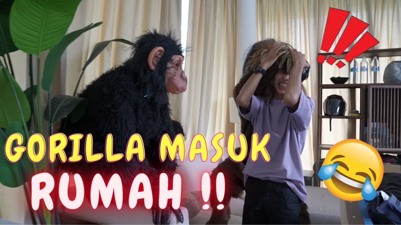 GORILLA MASUK RUMAH KAMI !! - SEMUA TERKEJUT
