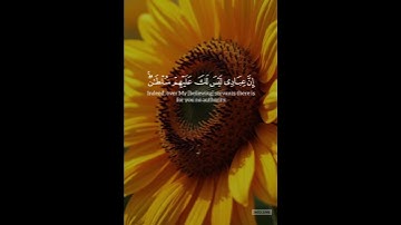 #تلاوة #المصحف #القرآن_الكريم  #yasseraldossary #اللهم_صل_وسلم_على_نبينا_محمدﷺ #الشيخ_ياسر_الدوسري