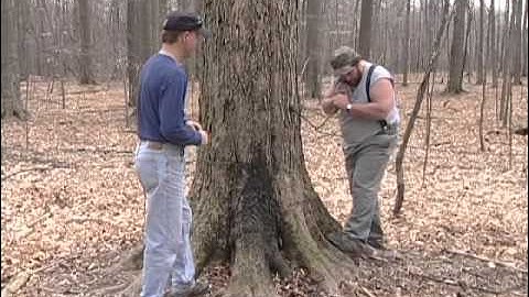 Martin Maple Products of Vermontville MI