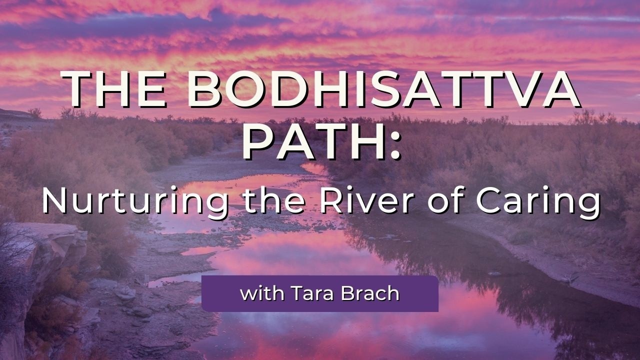 The Bodhisattva Path—Nurturing the River of Caring | Tara Brach