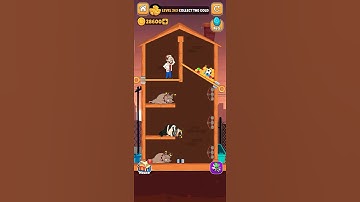 Home pin game Level 263