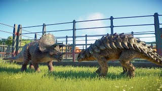 Triceratops Vs Ankylosaurus - Friend Or Battle? - Jwe Battle Fight - Juric World Evolution 2
