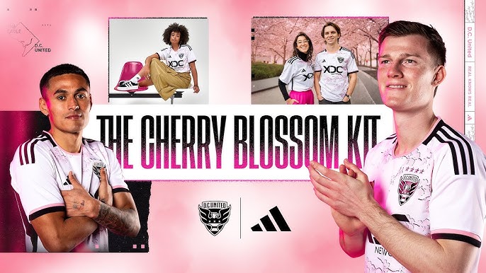 Nationals and Wizards cherry blossom Nike jersey