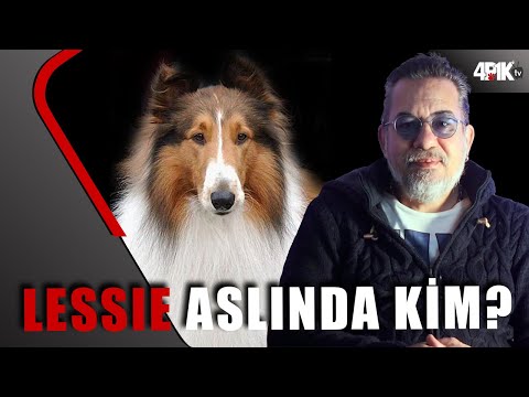 Lassie aslında kim?