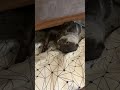 Too chill… then suddenly needy