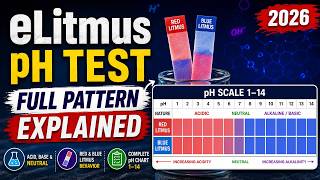 eLitmus pH Test — Full Pattern Explained (2026)