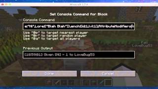 Items with custom name, lore, enchantments, and attributes!