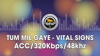 Video thumbnail of "Tum Mil Gaye - Vital Signs"