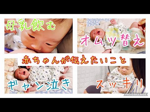 号泣 赤ちゃんが伝えたいこと オムツ替えしたり 母乳あげたり