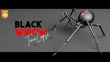 Black Widow Spider | Blender TImelapse