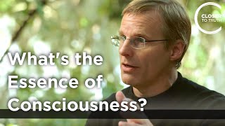 Giulio Tononi - What's the Essence of Consciousness?