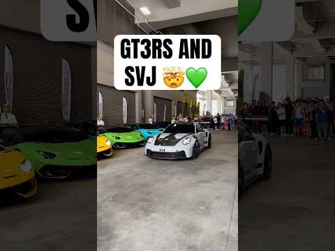 Which one you