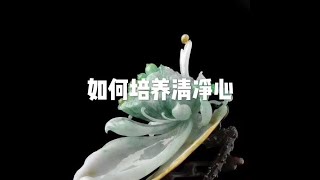 201805  如何培养清净心20755
