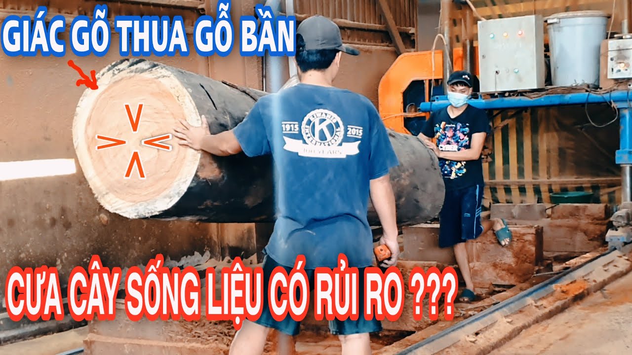 Cưa Xẻ GỖ TRÒN ( CÂY SỐNG ) // Việc không dành cho THỢ... - youtube