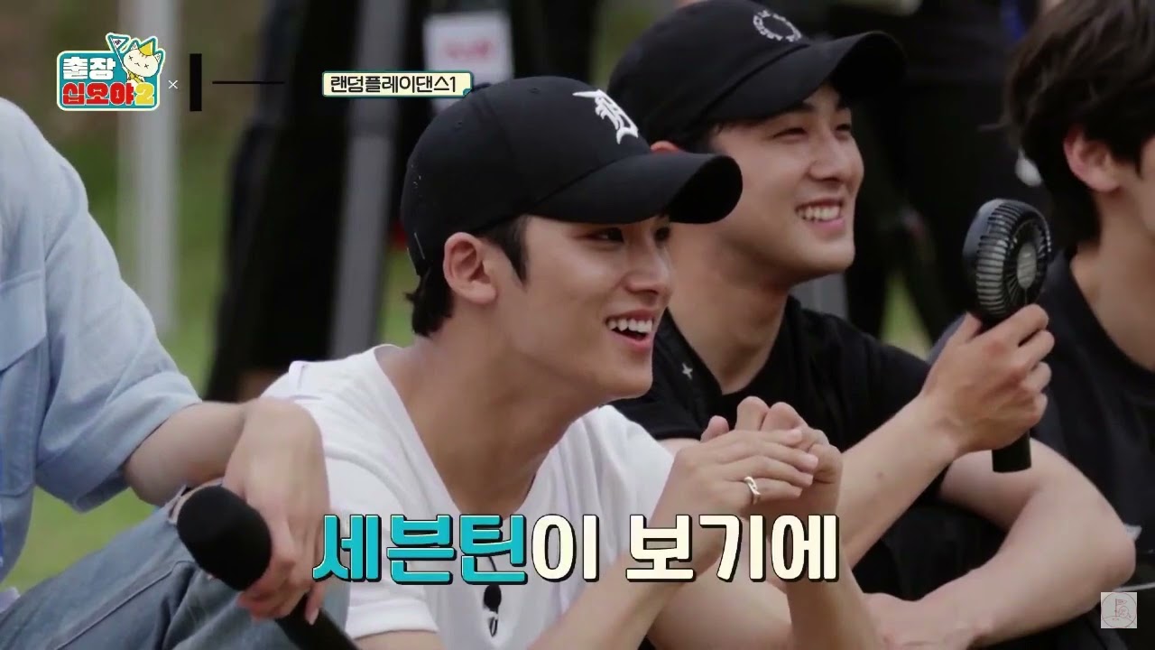 [세븐틴/디노] 하이브 야유회 랜덤플레이댄스 디노 모음