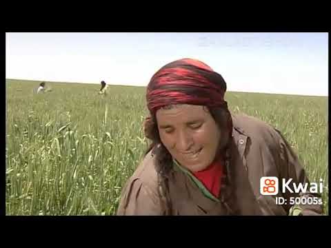 قديم ياخاينين العهد