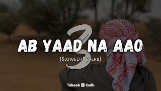 Ab Yaad Na Aao Rehne Do Part 3 | Slowed and Reverb | Tabeeb E Qalb