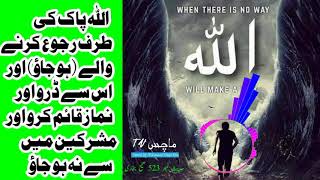 صحیح بخاری حدیث 523  Why Muslims Pray 5 Times A Day Urdu/Hindi screenshot 5