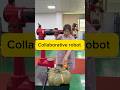 Collaborative robot #industrialrobot #sixaxisrobot #automation