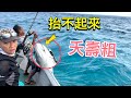 40公斤GT夭壽粗！船長抬不起來，快來幫忙！印尼釣魚(終) Popping&amp;Jigging in Indonesia Isolated Island！#赫馬士  #釣魚  #fishing