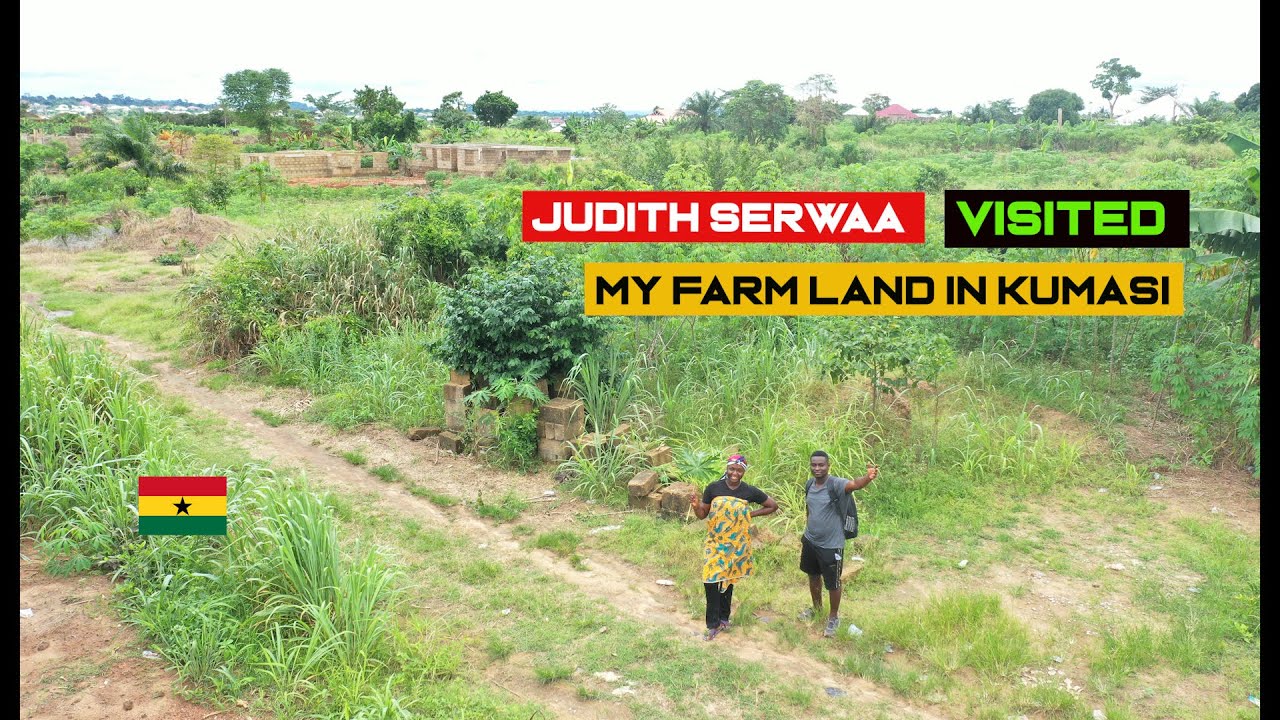 A visit to my farmland in Ghana YouTube